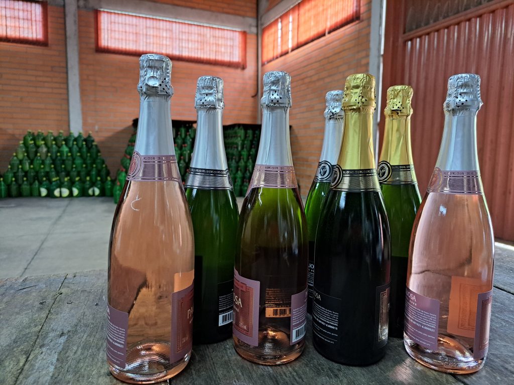 Concurso Melhores Vinhos, Sucos de Uva e Espumantes: Começa coleta de amostras nas vinícolas caxienses